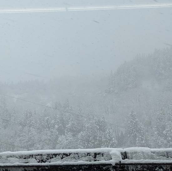 <span class="title">大雪の十日町と明日の薬膳試食</span>