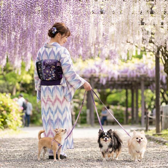 <span class="title">夏物が３５％OFF！山本由季さん入荷中～　着物美人さんがお二人</span>