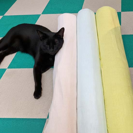 <span class="title">東京で仕入れて来た子たち</span>